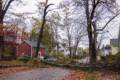 Hurricane Sandy did this on our street.<br />We lost power at 2:16 pm and it was restored at about 5 am.<br />Oct. 29, 2012 - Merrimac, Massachusetts.
