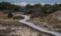 Boardwalk to parking lot # 5.<br />Oct. 31, 2012 - Parker River National Wildlife Refuge, Plum Island, Massachusetts.
