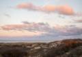 At Hellcat Wildlife Observation Area.<br />Nov. 19, 2012 - Parker River National Wildlife Refuge, Plum Island, Massachusetts.