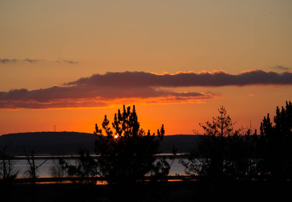 At Hellcat Wildlife Observation Area.<br />Nov. 19, 2012 - Parker River National Wildlife Refuge, Plum Island, Massachusetts.