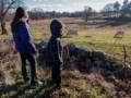 Miranda and Matthew looking at the cows.<br />Nov. 24, 2012 - Appleton Farms, Ipswich, Massachusetts.