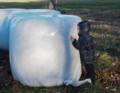 Matthew trying to budge a hay bale.<br />Nov. 24, 2012 - Appleton Farms, Ipswich, Massachusetts.