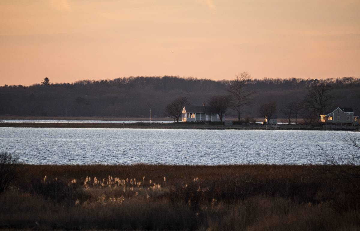 Pines Trail area.<br />Dec. 6, 2012 - Parker River National Wildlife Refuge, Plum Island, Massachusetts.