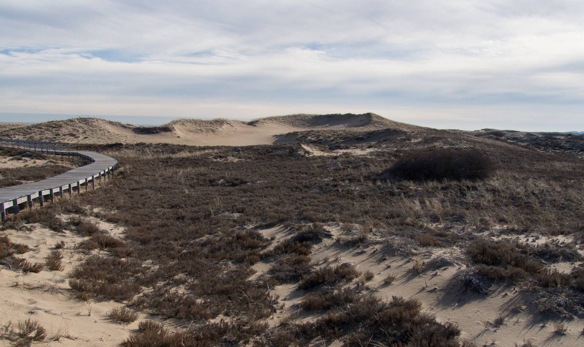 View off boardwalk off parking lot #3.<br />Jan. 14, 2013 - Parker River National Wildlife Refuge, Plum Island, Massachusetts.