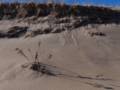 Patterns in the dune.<br />Jan. 14, 2013 - Parker River National Wildlife Refuge, Plum Island, Massachusetts.