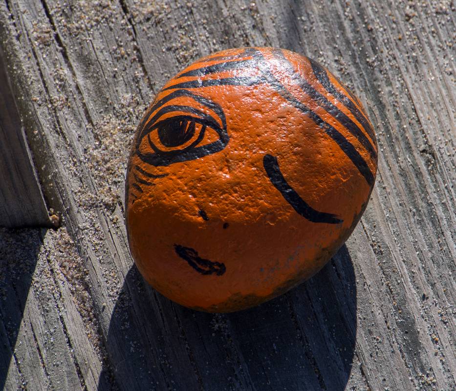 A painted rock on the boardwalk.<br />Jan. 14, 2013 - Parker River National Wildlife Refuge, Plum Island, Massachusetts.