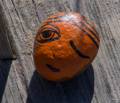 A painted rock on the boardwalk.<br />Jan. 14, 2013 - Parker River National Wildlife Refuge, Plum Island, Massachusetts.