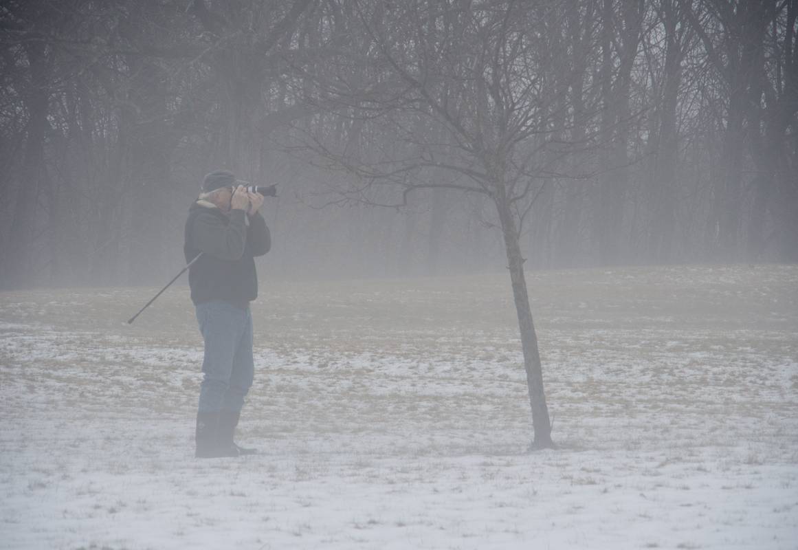 John.<br />A walk in the park on a foggy afternoon.<br />Jan. 30, 2013 - Maudslay State Park, Newburyport, Massachusetts.