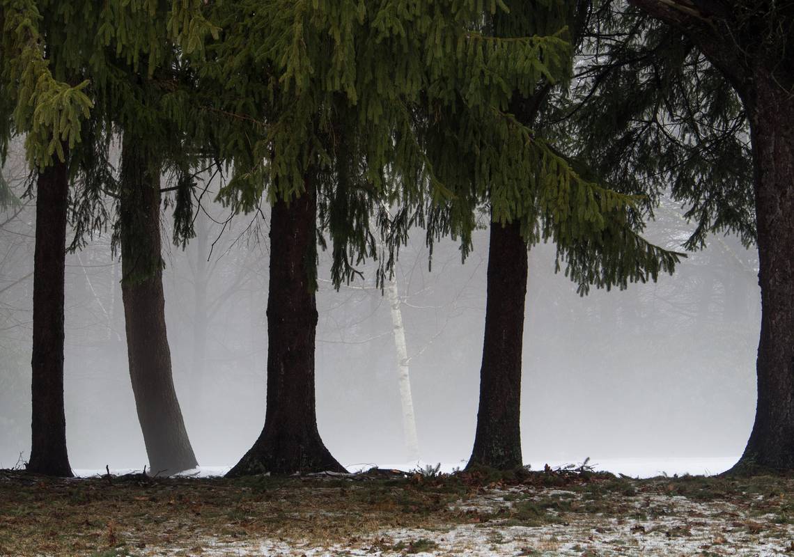 A walk in the park on a foggy afternoon.<br />Jan. 30, 2013 - Maudslay State Park, Newburyport, Massachusetts.