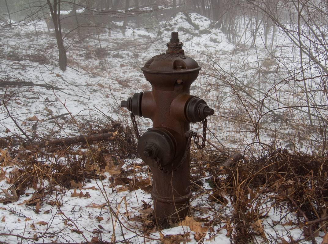 A walk in the park on a foggy afternoon.<br />Jan. 30, 2013 - Maudslay State Park, Newburyport, Massachusetts.