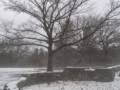 A walk in the park on a foggy afternoon.<br />Jan. 30, 2013 - Maudslay State Park, Newburyport, Massachusetts.