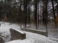 A walk in the park on a foggy afternoon.<br />Jan. 30, 2013 - Maudslay State Park, Newburyport, Massachusetts.