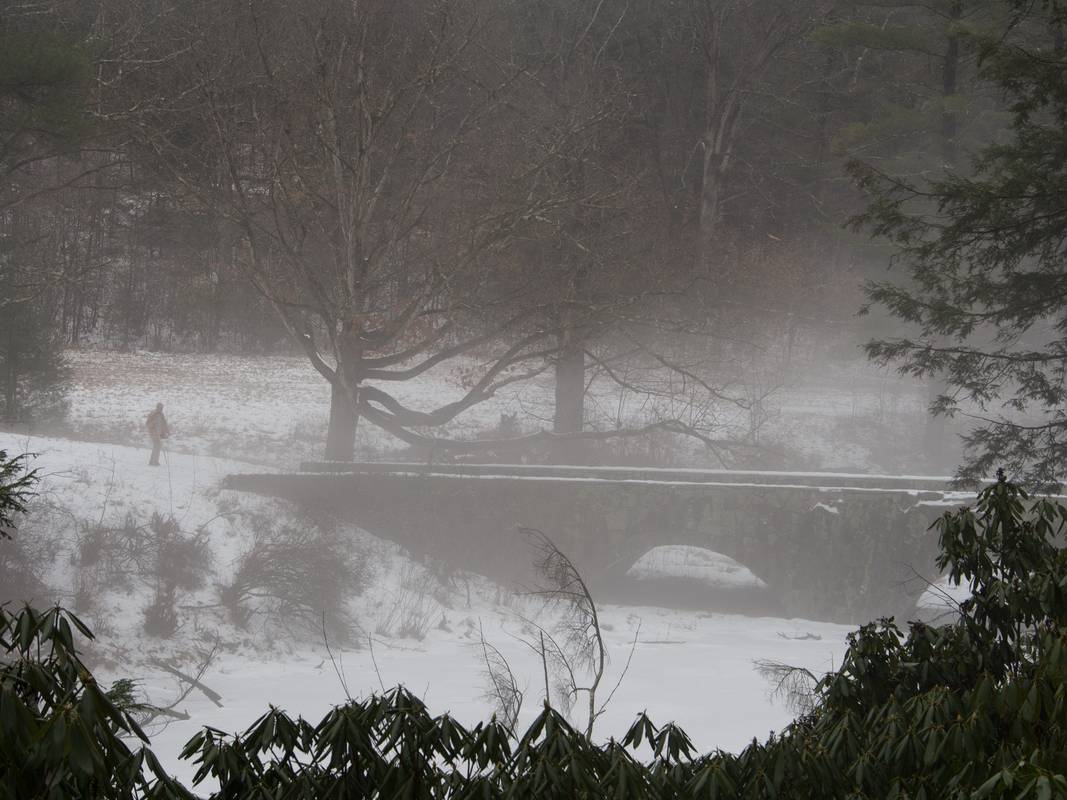 A walk in the park on a foggy afternoon.<br />Jan. 30, 2013 - Maudslay State Park, Newburyport, Massachusetts.