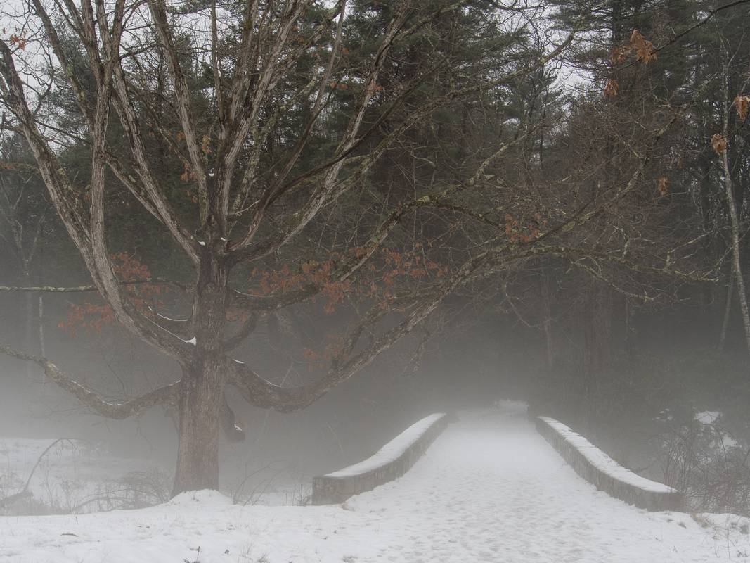 A walk in the park on a foggy afternoon.<br />Jan. 30, 2013 - Maudslay State Park, Newburyport, Massachusetts.