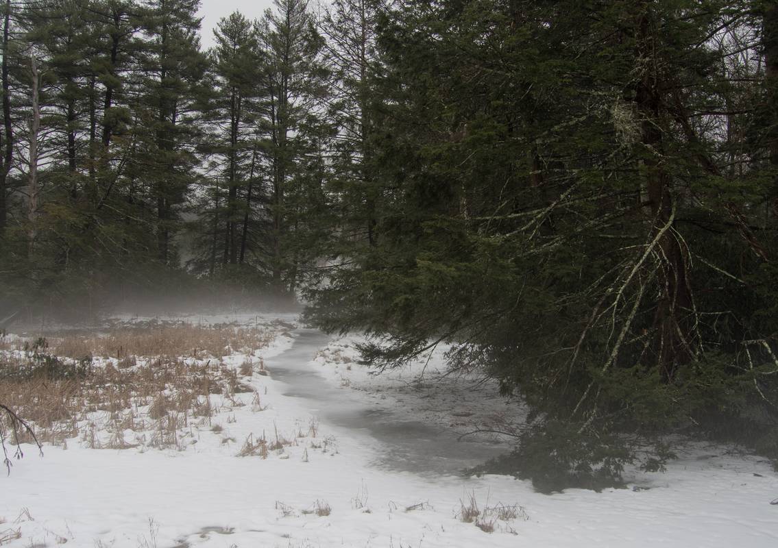 A walk in the park on a foggy afternoon.<br />Jan. 30, 2013 - Maudslay State Park, Newburyport, Massachusetts.
