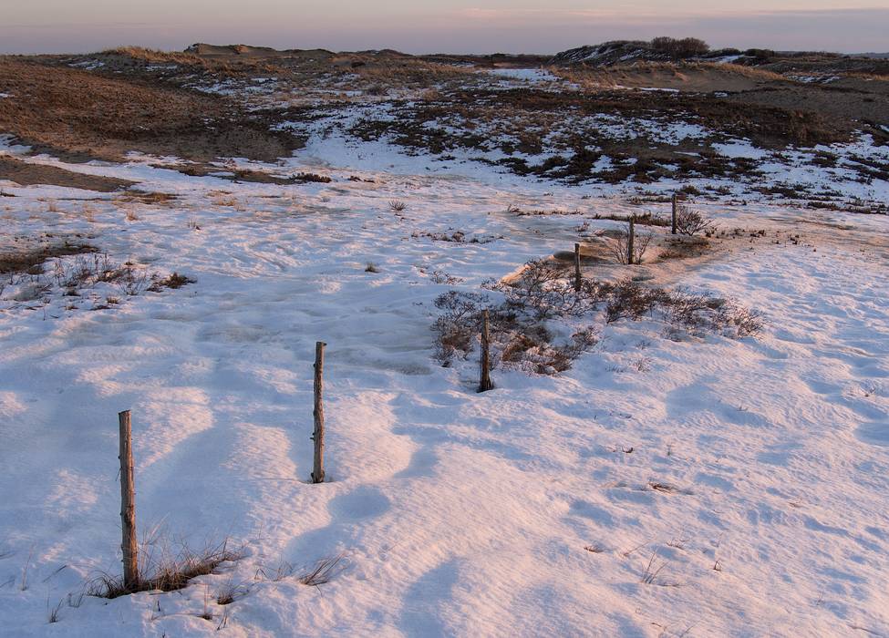 View off boardwalk to parking lot # 1.<br />Feb. 13, 2013 - Parker River National Wildlife Refuge, Plum Island, Massachusetts.