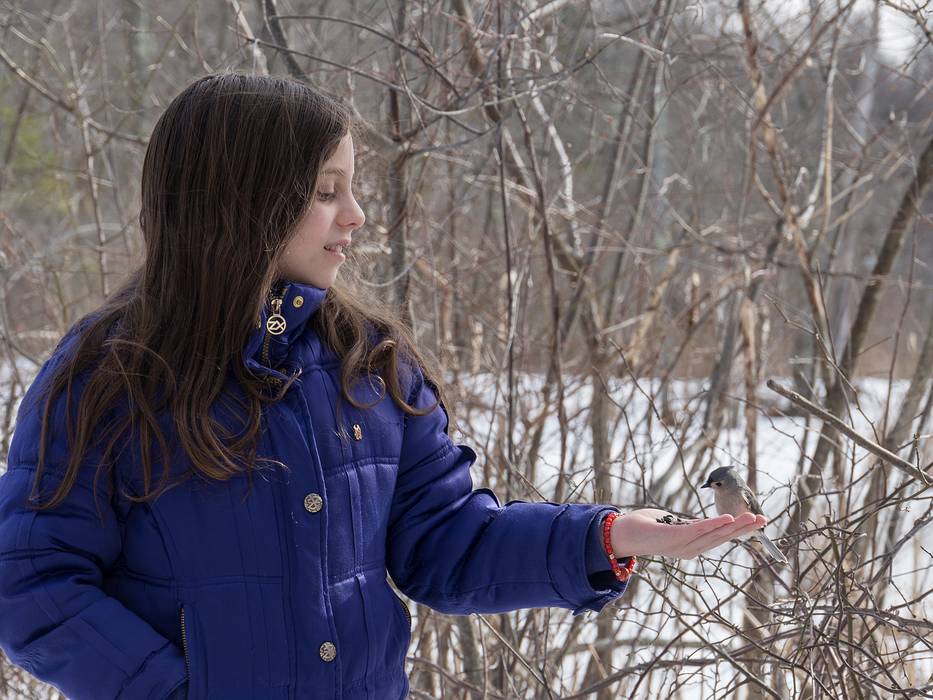 Miranda with titmouse feeding out of her hand.<br />Feb. 22, 2013 - Ipswich River Wildlife Sanctuary, Topsfield, Massachusetts.