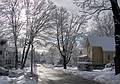 Looking SE along our street.<br />The morning after a sitcky snowfall.<br />Feb. 25, 2013 - Merrimac, Massachusetts.