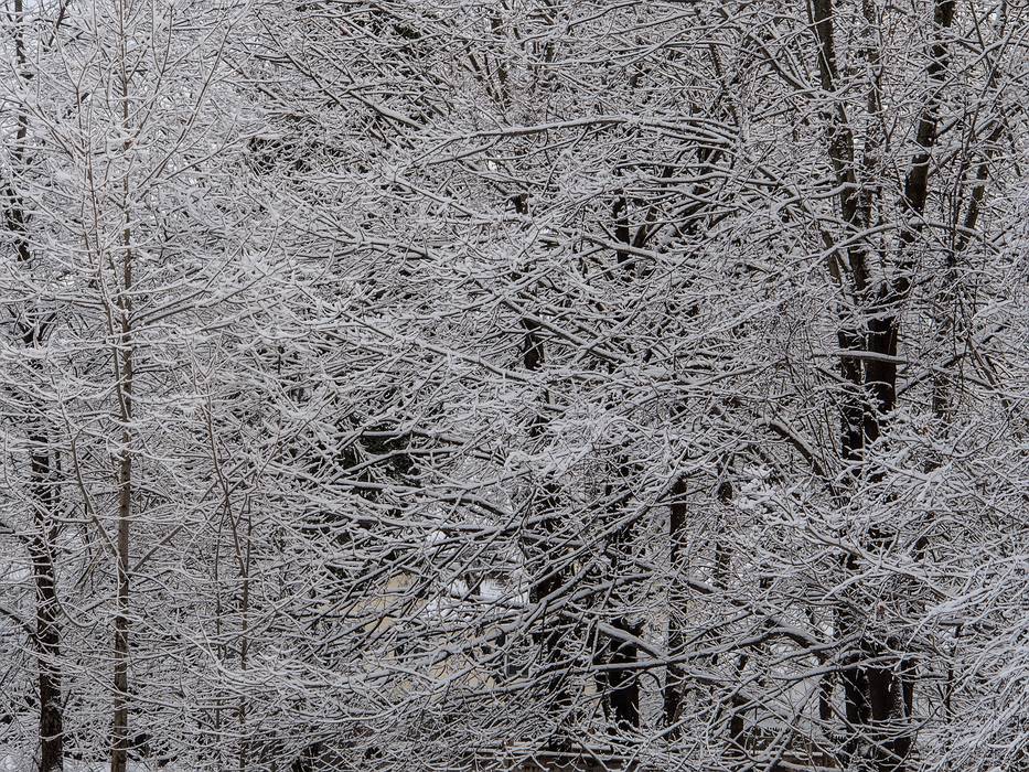 The morning after a sitcky snowfall.<br />Feb. 25, 2013 - Merrimac, Massachusetts.