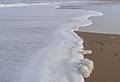 A walk off parking lot # 3.<br />Feb. 26, 2013 - Parker River National Wildlife Refuge, Plum Island, Massachusetts.