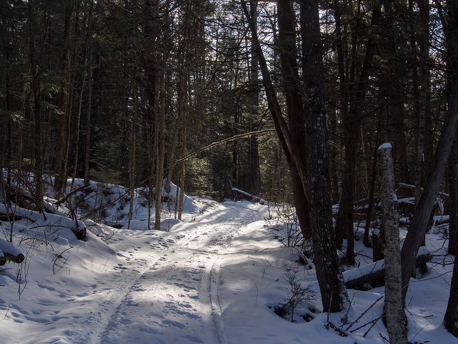 Bill Magill trail.<br />March 5, 2013 - Lyndonville, Vermont.