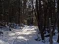Bill Magill trail.<br />March 5, 2013 - Lyndonville, Vermont.