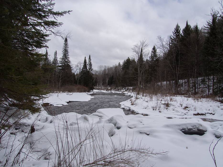 The Passumpsic East Branch River.<br />On the Darling Hill Nordic Trails.<br />March 6, 2013 - Lyndonville, Vermont.