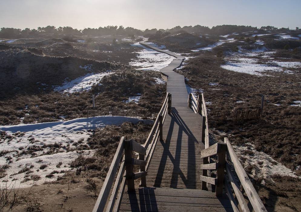 Off parking lot # 5.<br />March 9, 2013 - Parker River National Wildlife Refuge, Plum Island, Massachusetts.