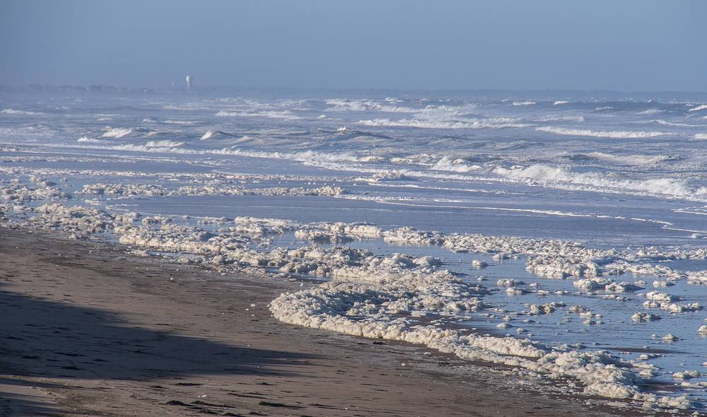 Off parking lot # 5.<br />March 9, 2013 - Parker River National Wildlife Refuge, Plum Island, Massachusetts.