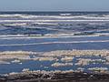 Off parking lot # 5.<br />March 9, 2013 - Parker River National Wildlife Refuge, Plum Island, Massachusetts.