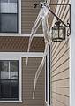 Unusual icicly by the back door.<br />March 21, 2013 - Merrimac, Massachusetts.