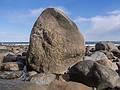 Recent storms have washed away the sand at the base of the rock.<br />March 22, 2013 - Sandy Point State Reservation, Plum Island, Massachusetts.