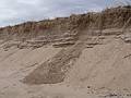 Winter storms have eaten away at the dunes.<br />March 28, 2013 - Parker River National Wildlife Refuge, Plum Island, Massachusetts.