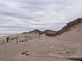 Joyce and crumbling sand dunes south of parking lot # 3 access.<br />March 28, 2013 - Parker River National Wildlife Refuge, Plum Island, Massachusetts.