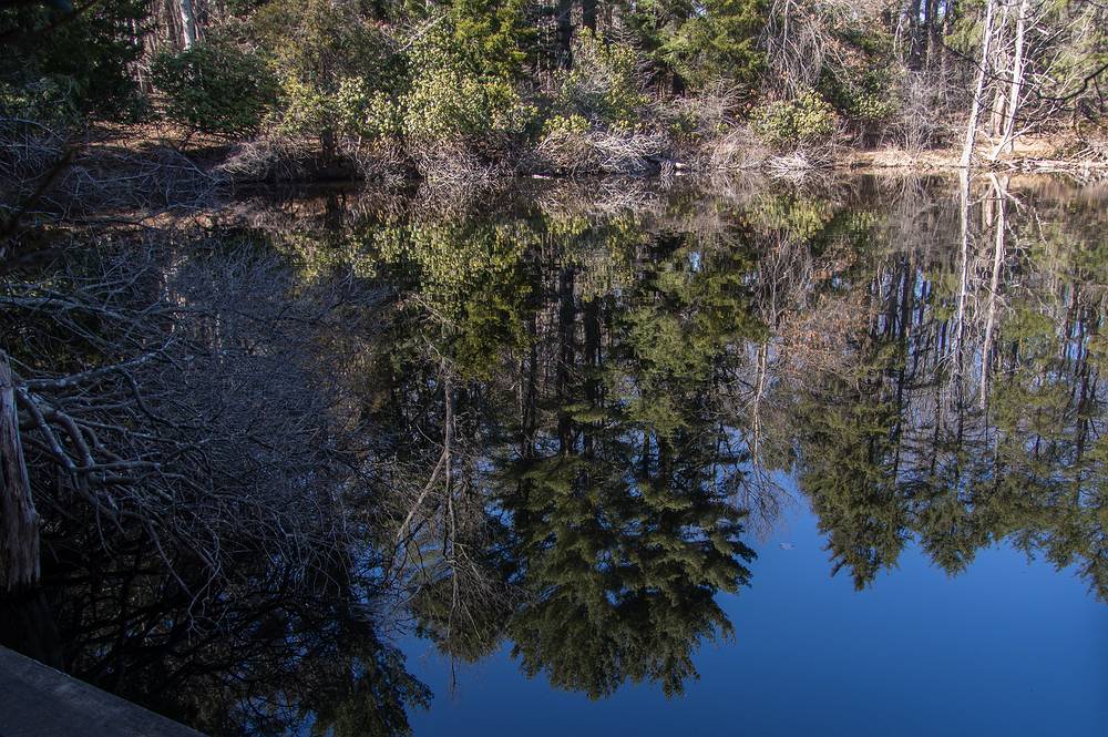 Reflections in Rockery Pond.<br />Audubon Ipswich River Sanctuary.<br />April 4, 2013 - Topsfield, Massachusetts.