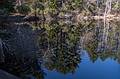 Reflections in Rockery Pond.<br />Audubon Ipswich River Sanctuary.<br />April 4, 2013 - Topsfield, Massachusetts.