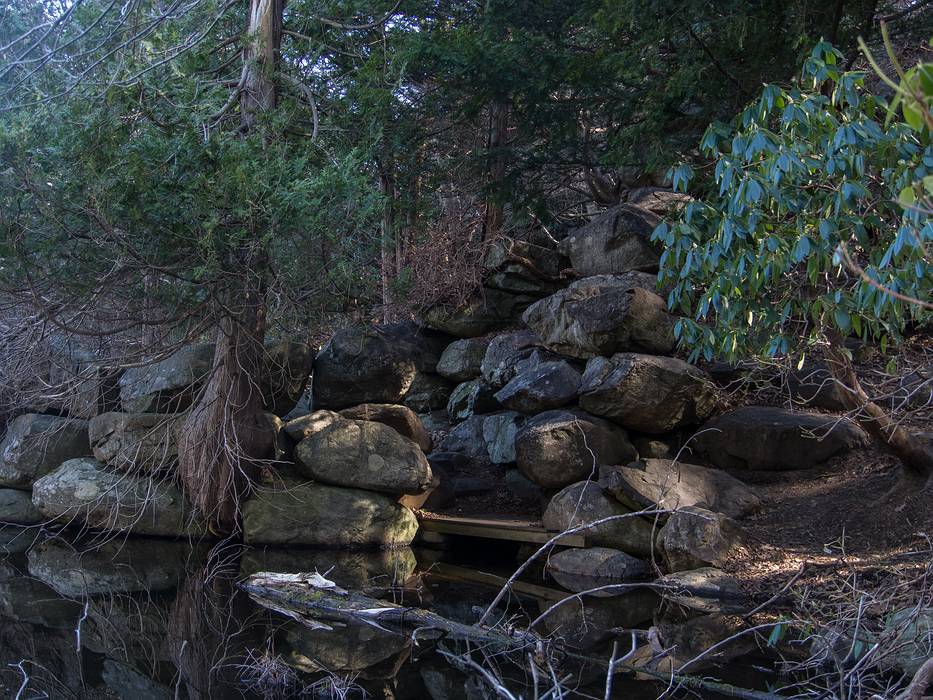 The Rockery.<br />Audubon Ipswich River Sanctuary.<br />April 4, 2013 - Topsfield, Massachusetts.