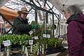 Joyce at an herb stand.<br />Sunday farmers' market.<br />April 14, 2013 - Newburyport, Massachusetts.