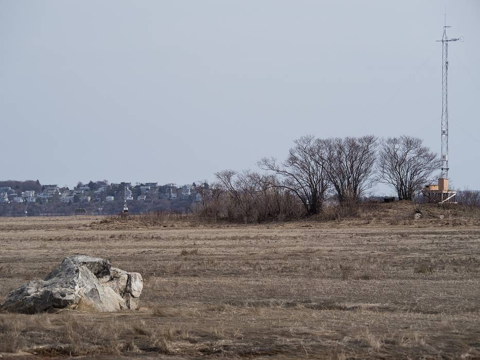 A new antenna has sprouted on the marsh.<br />April 15, 2013 - Nelson Island, Parker River National Wildlife Refuge, Rowley, Massachusetts.