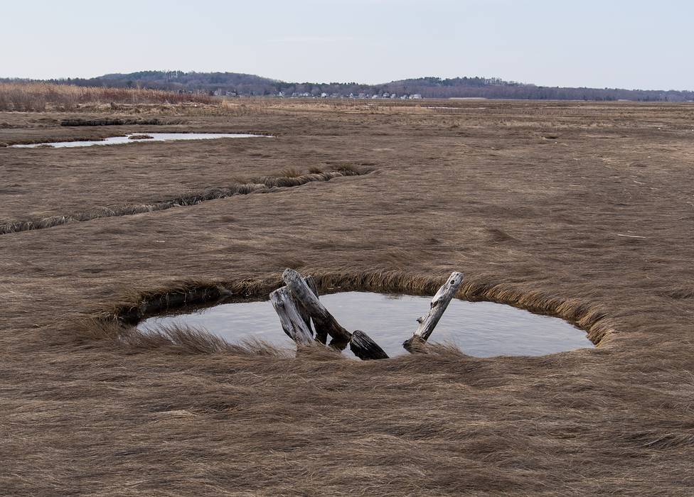 April 15, 2013 - Nelson Island, Parker River National Wildlife Refuge, Rowley, Massachusetts.