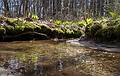 April 25, 2013 - Maudslay State Park, Newburyport, Massachusetts.