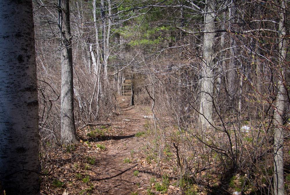 Path along the Artichoke River.<br />April 25, 2013 - Maudslay State Park, Newburyport, Massachusetts.