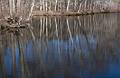 Tree reflections on the Artichoke River from Curzon's Mill bridge.<br />April 25, 2013 - Maudslay State Park, Newburyport, Massachusetts.