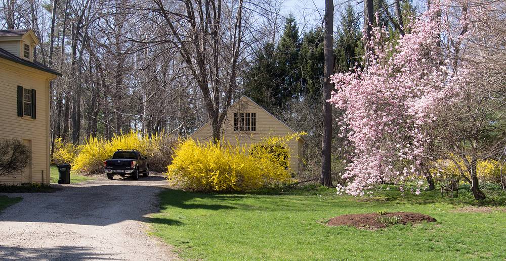 On Curzon Mill Road.<br />April 25, 2013 - Maudslay State Park, Newburyport, Massachusetts.