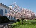 Symphony by the Sea Concert at Governor's Academy.<br />April 28, 2013 - Byfield, Massachusetts.
