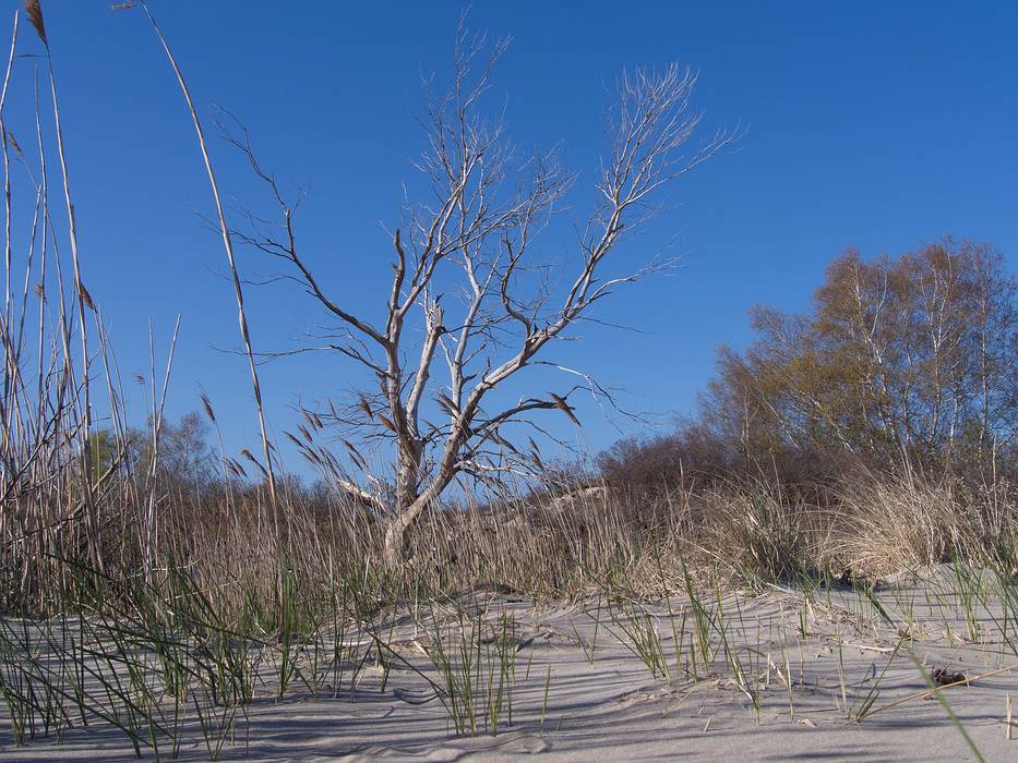 May 4, 2013 - Sandy Point State Reservation, Plum Island, Massachusetts.