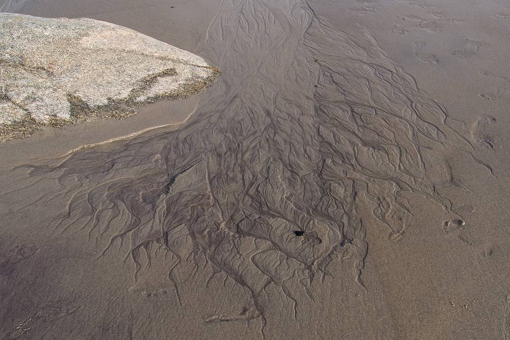 May 10, 2013 - Sandy Point State Reservation, Plum Island, Massachusetts.