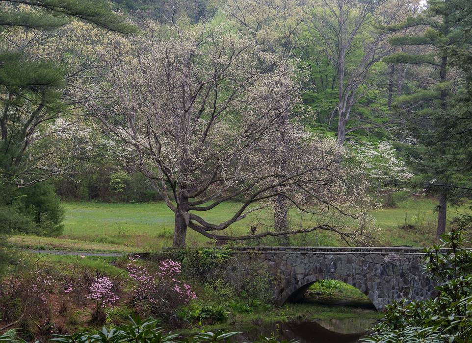 A photo shoot with The Photographic Society of Parker River National Wildlife Refuge.<br />May 11, 2013 - Maudslay State Park, Newburyport, Massachusetts.