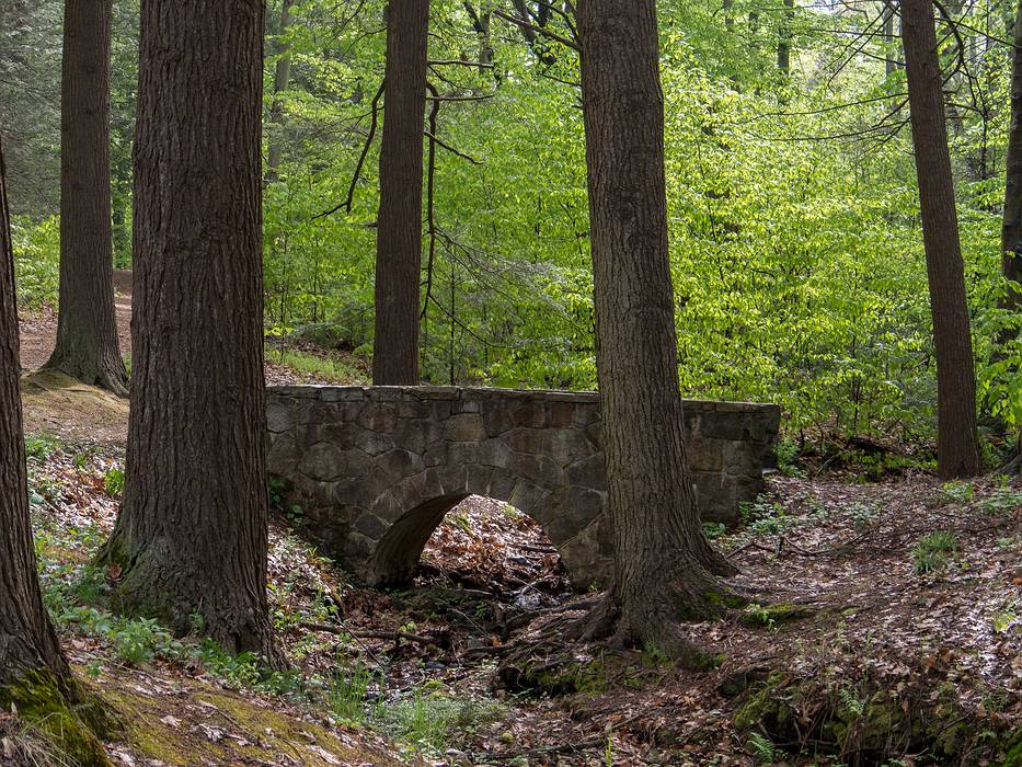 A photo shoot with The Photographic Society of Parker River National Wildlife Refuge.<br />May 11, 2013 - Maudslay State Park, Newburyport, Massachusetts.