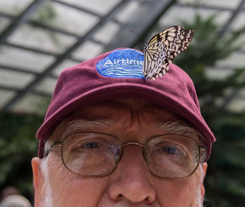 A photo shoot with the Photographic Society of the Parker River National Wildlife Refuge.<br />June 8, 2013 - The Butterfly Place, Westford, Massachusetts.